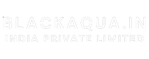 Black Aqua India Pvt. Ltd. | 24/7 Instagram Automation Services..!